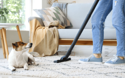 Pawsitively Clean: Pet-Friendly Cleaning Products